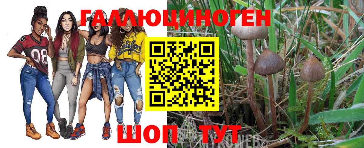 Галлюциногенные грибы ЛСД  купить наркоту  Вход с VPN  Комсомольск-на-Амуре  Галлюциногенные грибы Psilocybe 