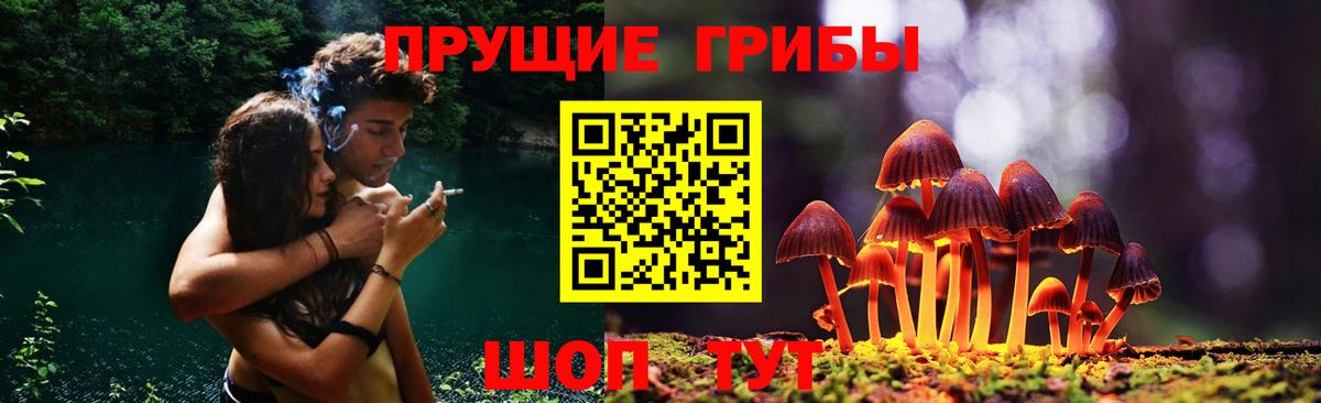 Псилоцибиновые грибы мицелий Комсомольск-на-Амуре
